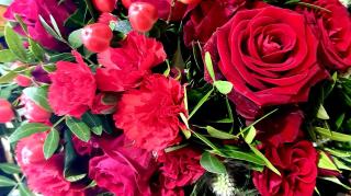 Fleuriste Au jardin d'Alice 1