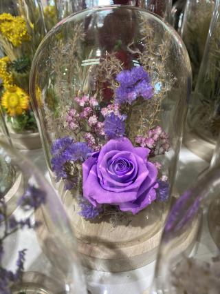 Fleuriste MAG FLEURS 0