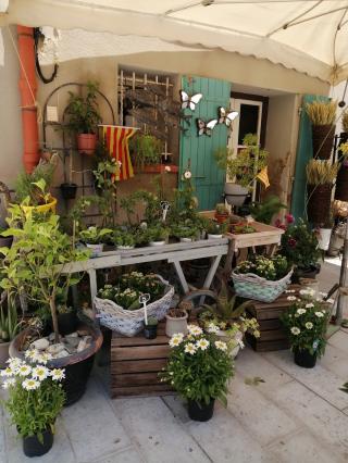 Fleuriste Bouton d'Or 0