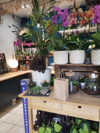 Fleuriste Osmose Création. 0