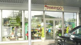 Fleuriste Tamango Fleurs 0