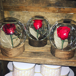 Fleuriste Jardin d'Antan 1