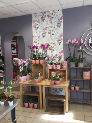 Fleuriste La Roseraie d'Antan 0