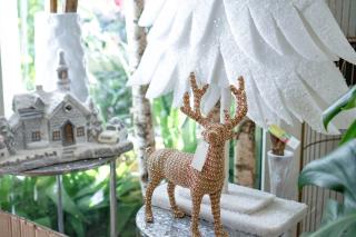 Fleuriste Peyre Espace Floral 0