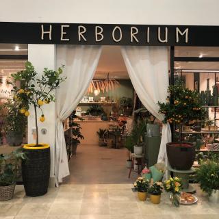 Fleuriste Herborium 0