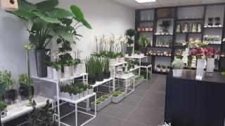 Fleuriste Véronique Leblay Fleurs & Décoration 1