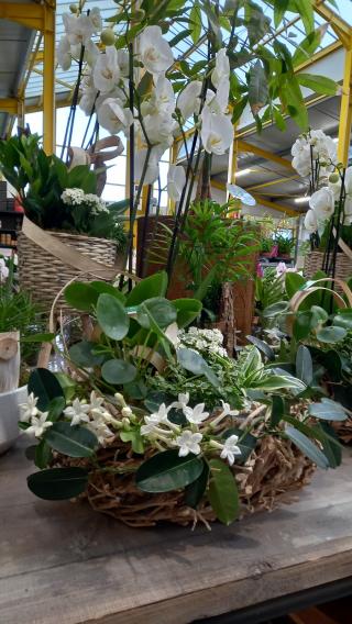 Fleuriste Le Flower (Ex: La Rose Bleue) 1