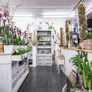 Fleuriste Les Pensées D'anaïs, Fleuriste à Lourdes 0