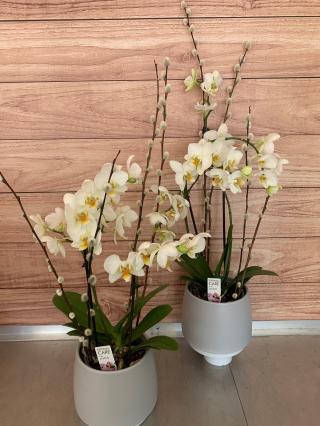 Fleuriste Le bouquet baladeur 0