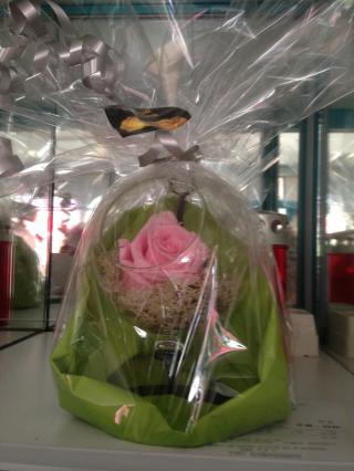 Fleuriste Boutique Genève Fleur 1