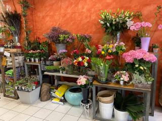 Fleuriste A l'herbe folle 0