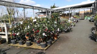 Fleuriste DELBARD THOUARS 0