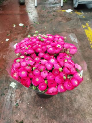 Fleuriste Vettese Fleurs 0