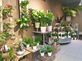 Fleuriste LA HALLE AUX FLEURS 0