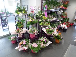 Fleuriste Cœur De Fleurs Pessac 0