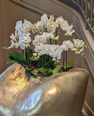 Fleuriste LA FORET D EMERAUDE 0