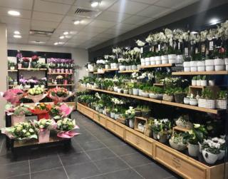 Fleuriste Monceau Fleurs 1