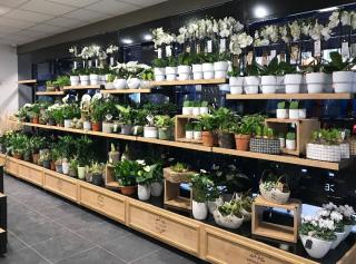 Fleuriste Monceau Fleurs 0