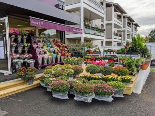 Fleuriste Coeur de Fleurs 0
