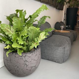 Fleuriste La Pergola 0