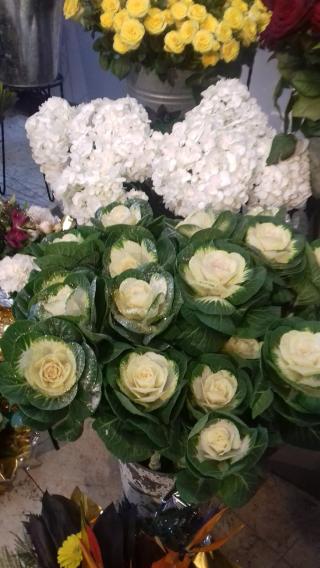 Fleuriste La Maison des Fleurs 2