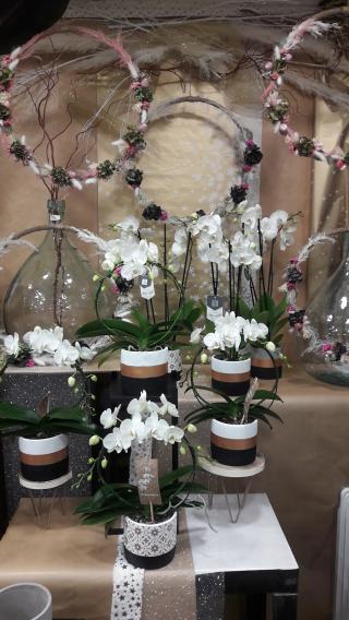 Fleuriste Deleporte Fleurs 0