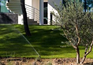 Fleuriste Les Jardins de Gally Agence Sud Est Paysages de Provence 0