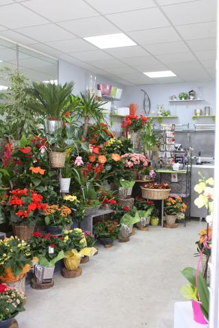 Fleuriste FLORAZUR 0