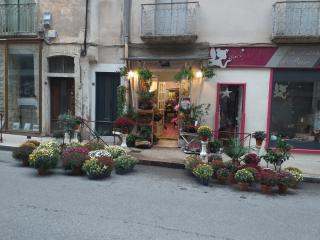 Fleuriste aux fleurs de mercure 0