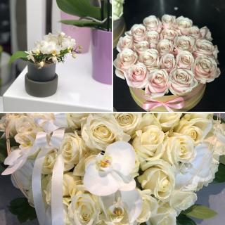 Fleuriste Ambiance Orchidées 0