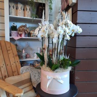 Fleuriste Au Coeur des Fleurs 0