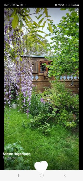 Fleuriste le Jardin Bohème 0