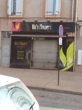 Fleuriste Lila's flowers 0