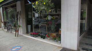 Fleuriste Aïda Fleurs 0