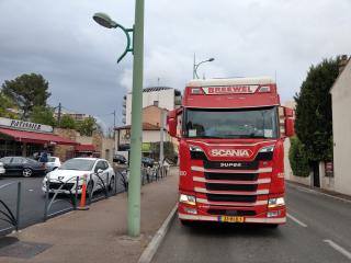 Fleuriste Sarl Thomyflor 0