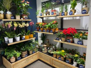 Fleuriste Monceau Fleurs 0