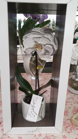 Fleuriste A Alesia Flore 0