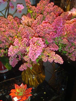 Fleuriste PARMI LES FLEURS 0