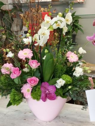 Fleuriste Des Fleurs En Plus 0