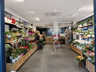 Fleuriste Monceau Fleurs 1