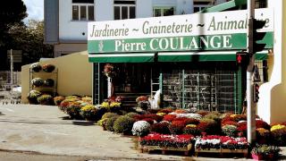 Fleuriste Jardinerie Coulange 0