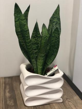 Fleuriste Eliane Fleurs 0