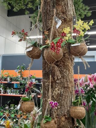 Fleuriste Le Fleuriste du Blanc Carroi 1