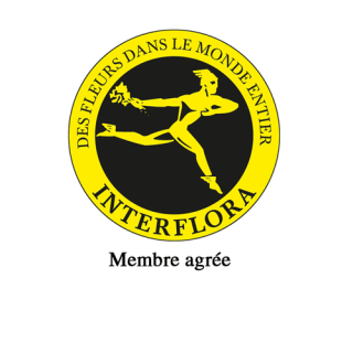 Fleuriste Liria Franck 0