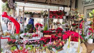 Fleuriste ATELIER FLORAL 1