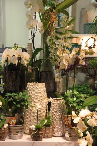 Fleuriste Amarante 0