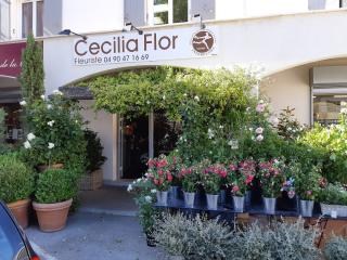 Fleuriste Cécilia Flor 0