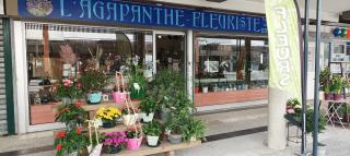 Fleuriste L'agapanthe 0