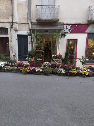 Fleuriste aux fleurs de mercure 0