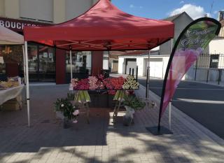 Fleuriste Pivoines de Picardie 0